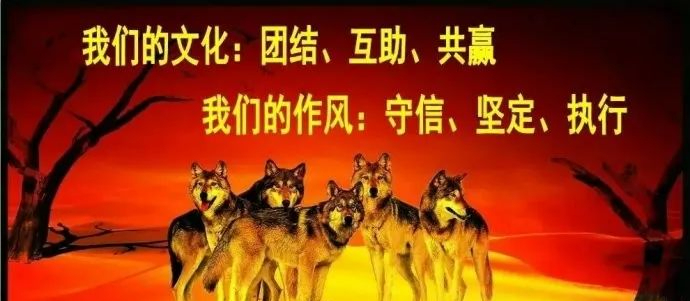 知识人:清除害群之马,发扬团队精神