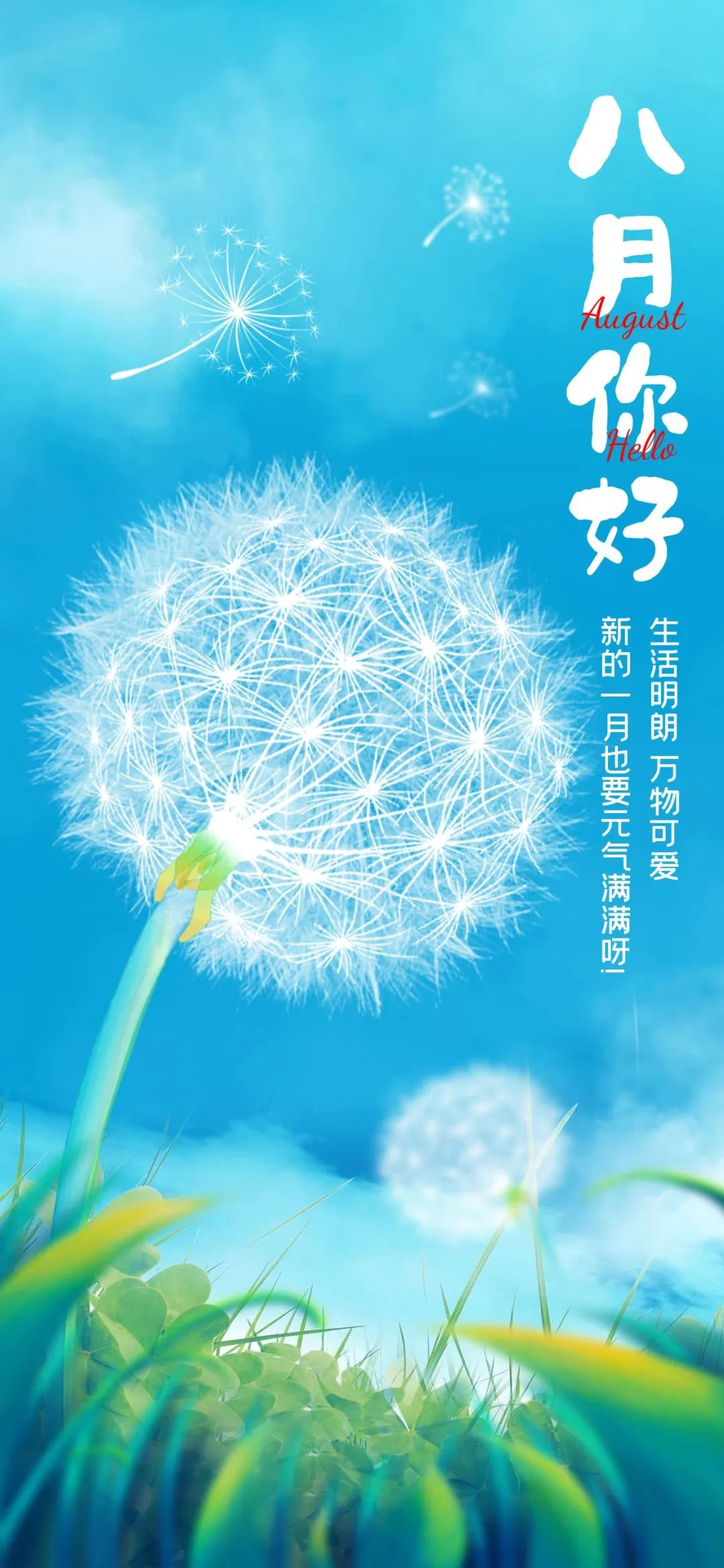 你好8月图片语录,八月第一天文案带图片