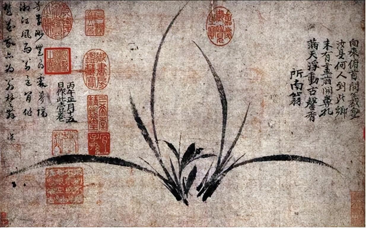 "旋自洗幽兰,银瓶钓金井",浅谈宋代兰花审美认识的兴起与发展