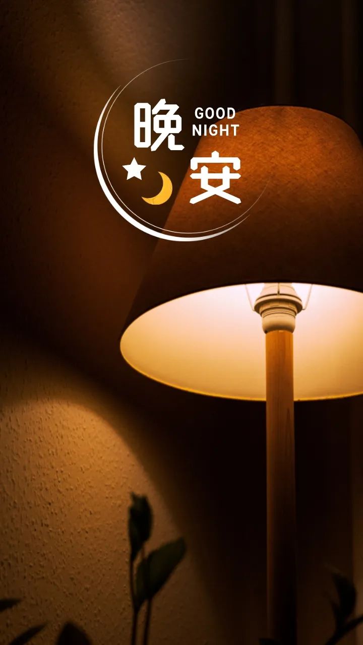 适合睡前发朋友圈的晚安正能量句子,安静唯美,简短有禅意