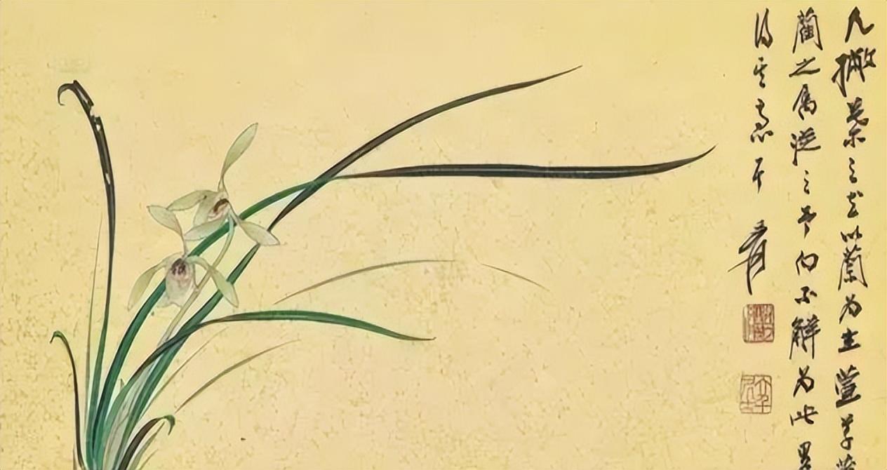 "旋自洗幽兰,银瓶钓金井",浅谈宋代兰花审美认识的兴起与发展