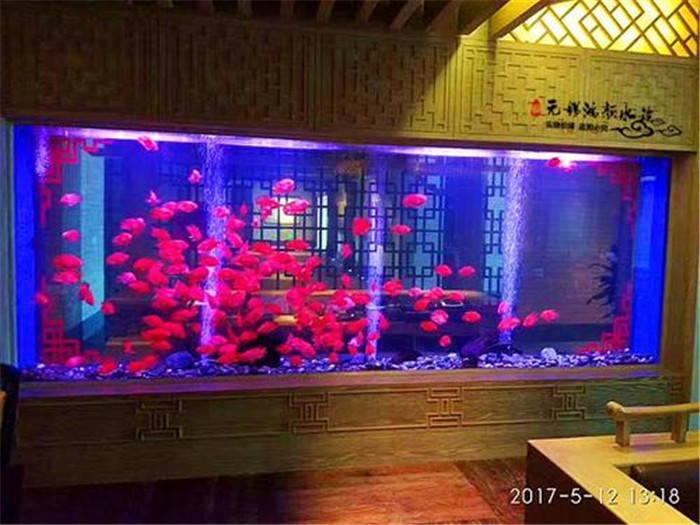 亚克力酒店水族鱼缸定做