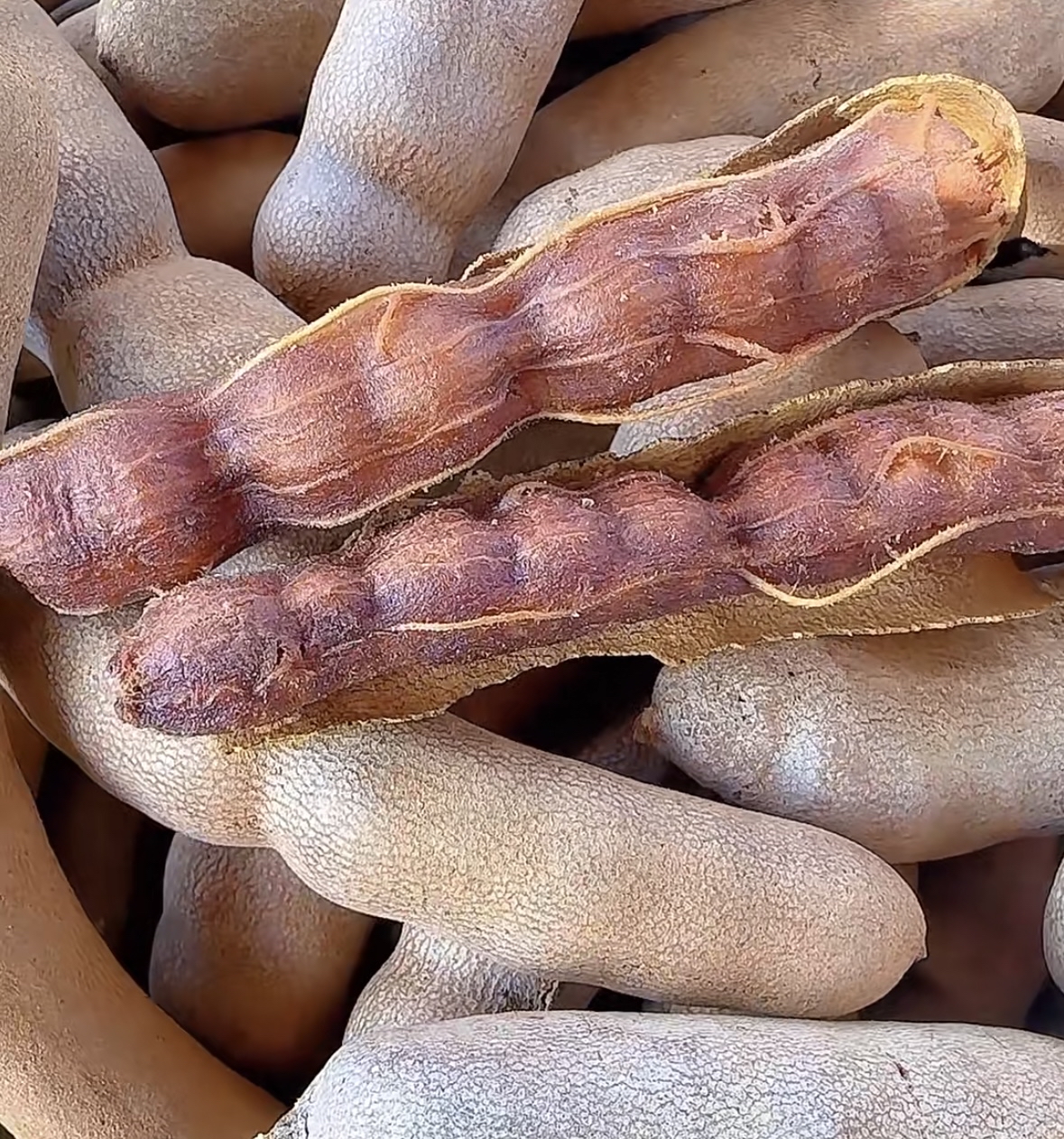 都说这个是懒人零食,追剧吃这个很巴适,确实是还可以