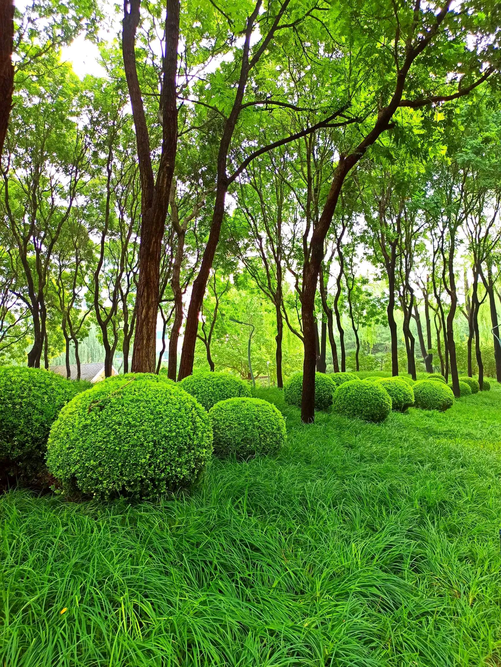 真正的修行只掌握在少数人手里.#三卷书禅语# #弘五居士佛法