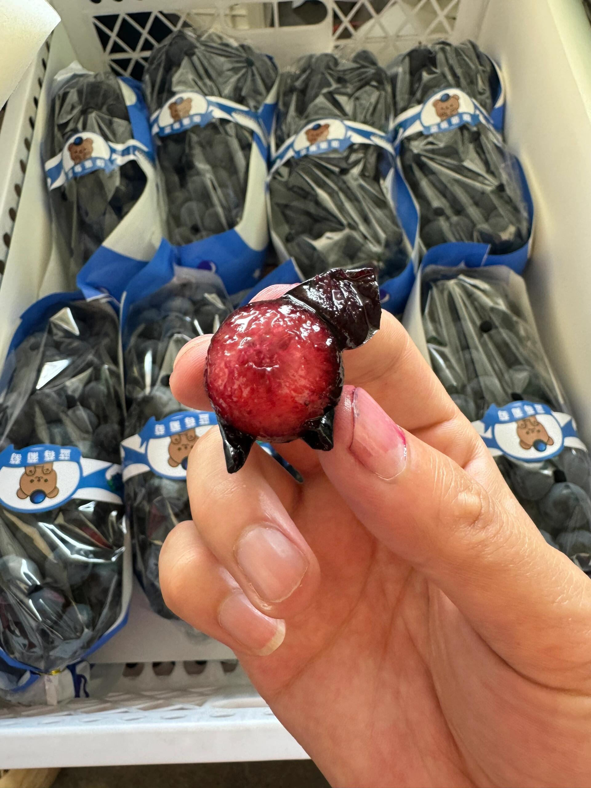 我可是一路跑到云南建水才发现的.这是蓝莓葡萄,你们吃过没?