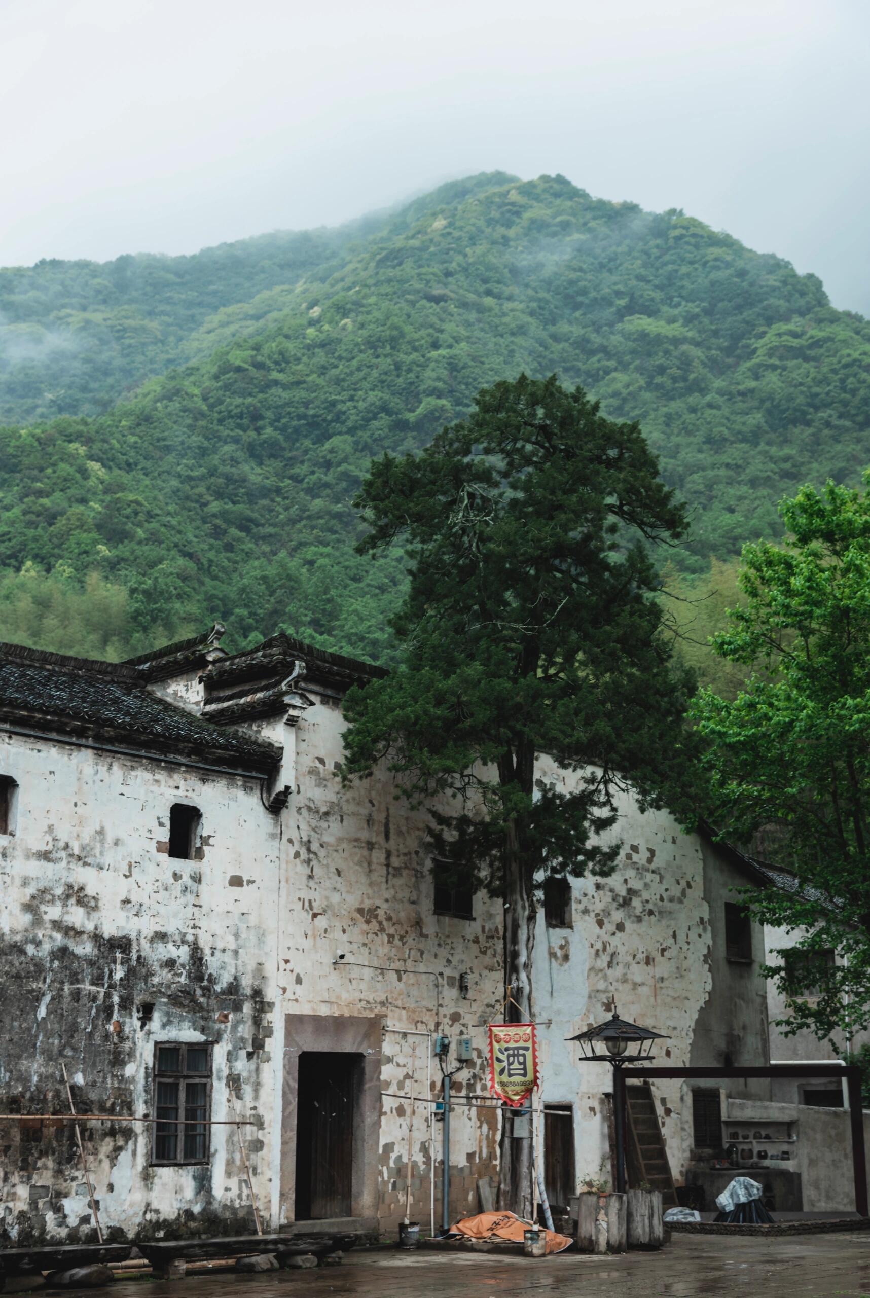 石舍村,一个幽静的文艺古村,位于杭州桐庐富春江镇,是桐庐最偏远的