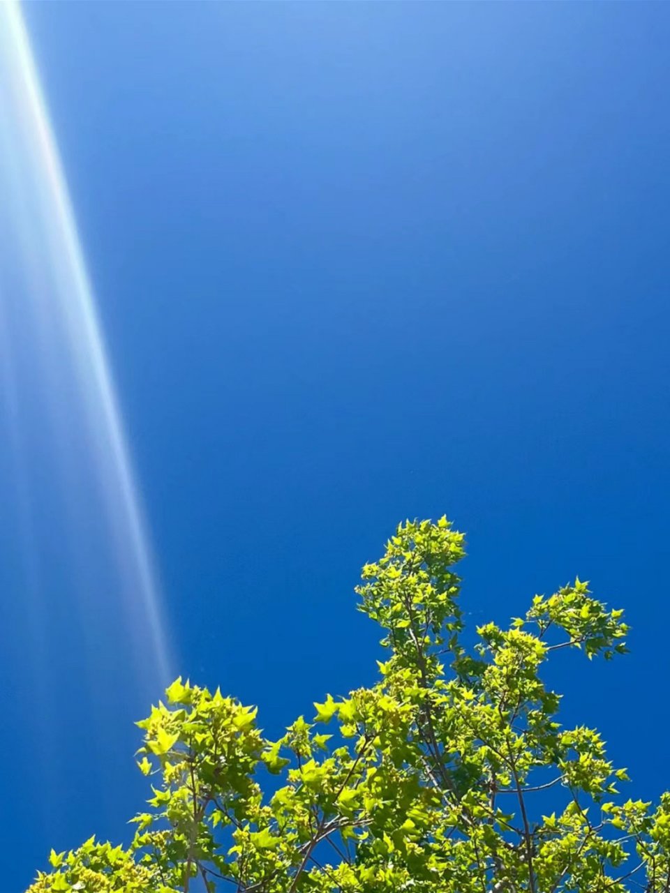 "如果治愈有景色,那一定是夏日的天空" 67