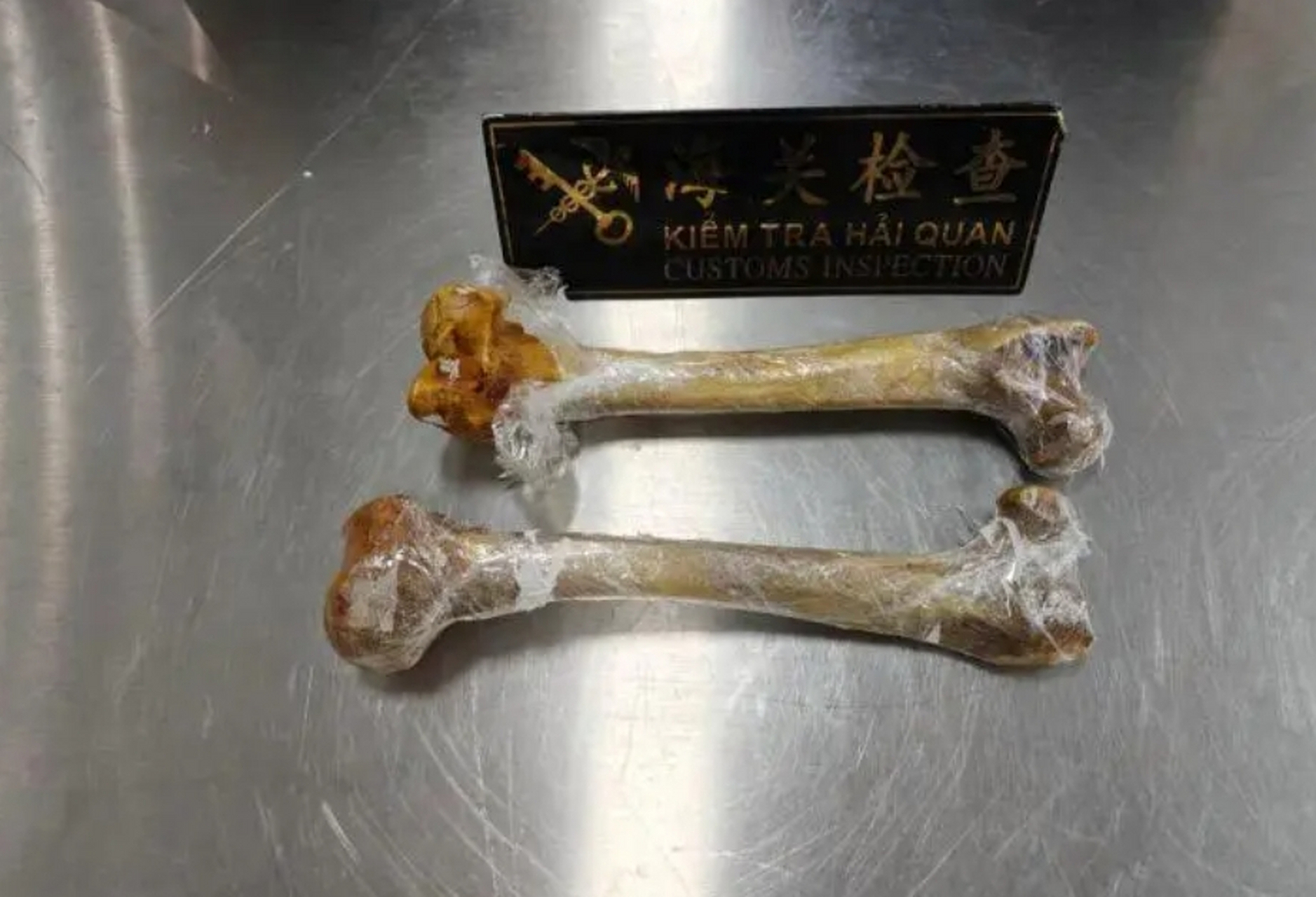 女子闯关藏狮骨,海关火眼金睛破奇案!