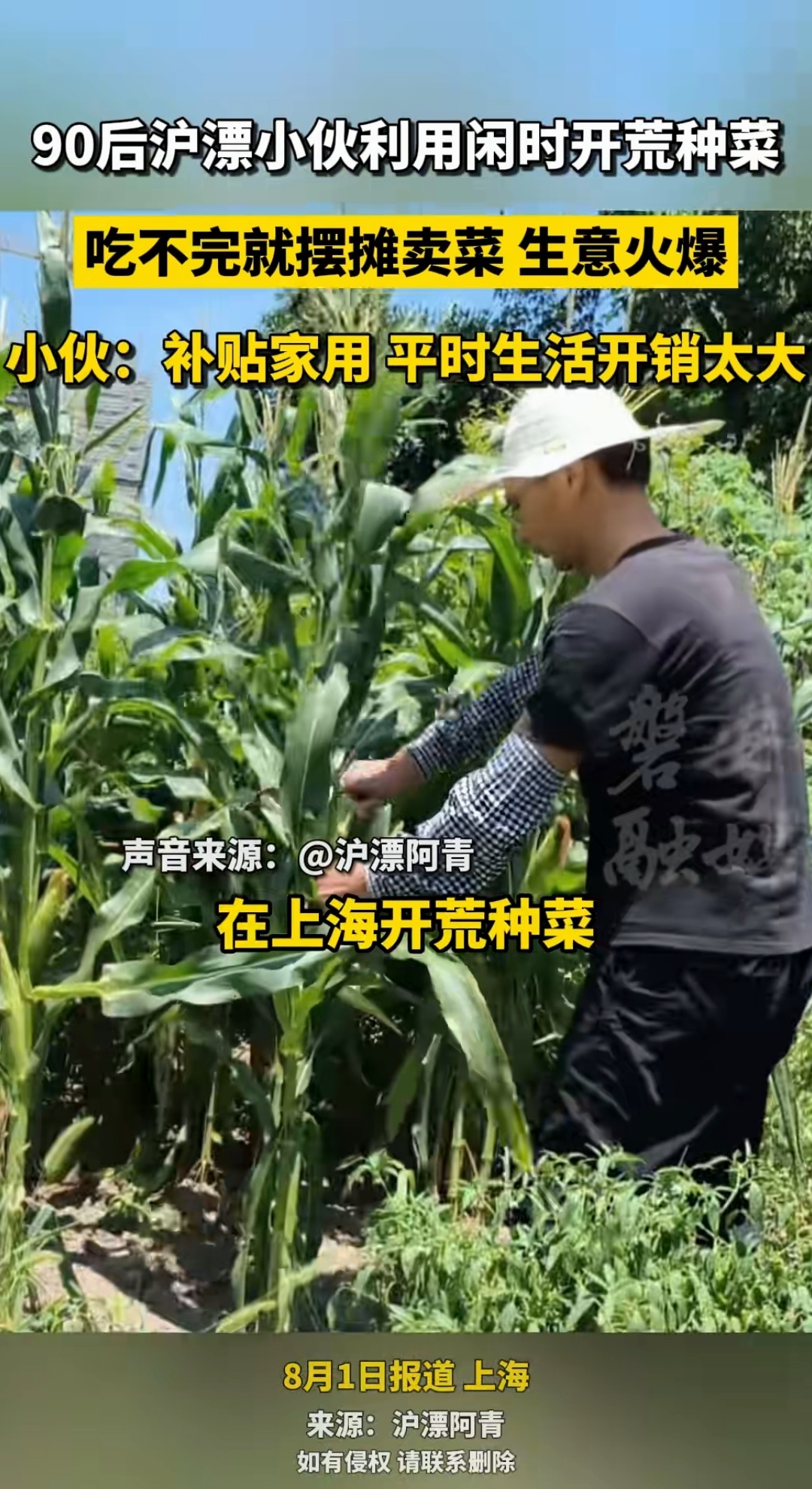 开荒地有种植补贴吗(开荒地享受种植补贴吗)