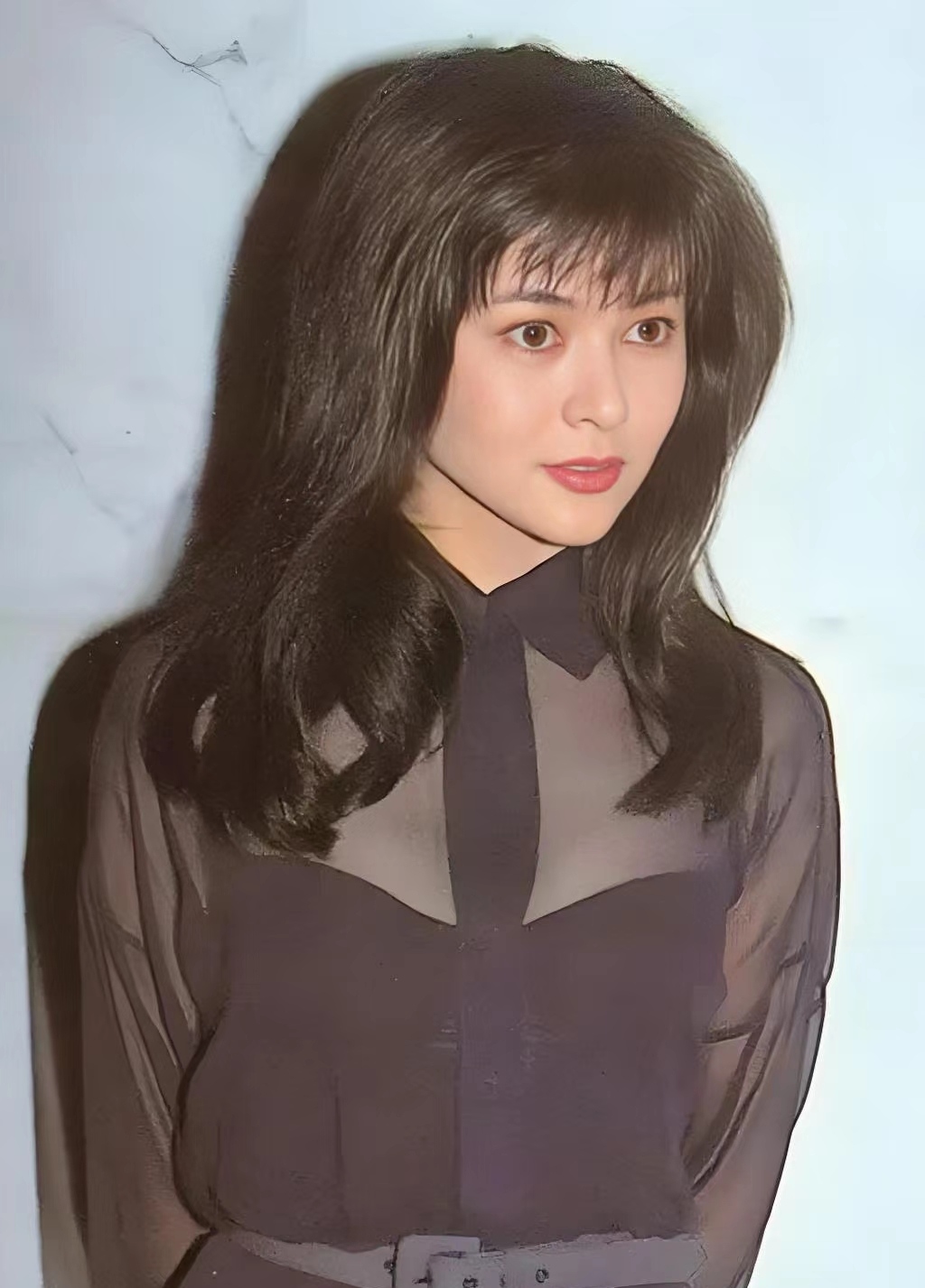 关之琳的美貌绝对是一眼万年的存在,因为她不但长相美丽,气质出众
