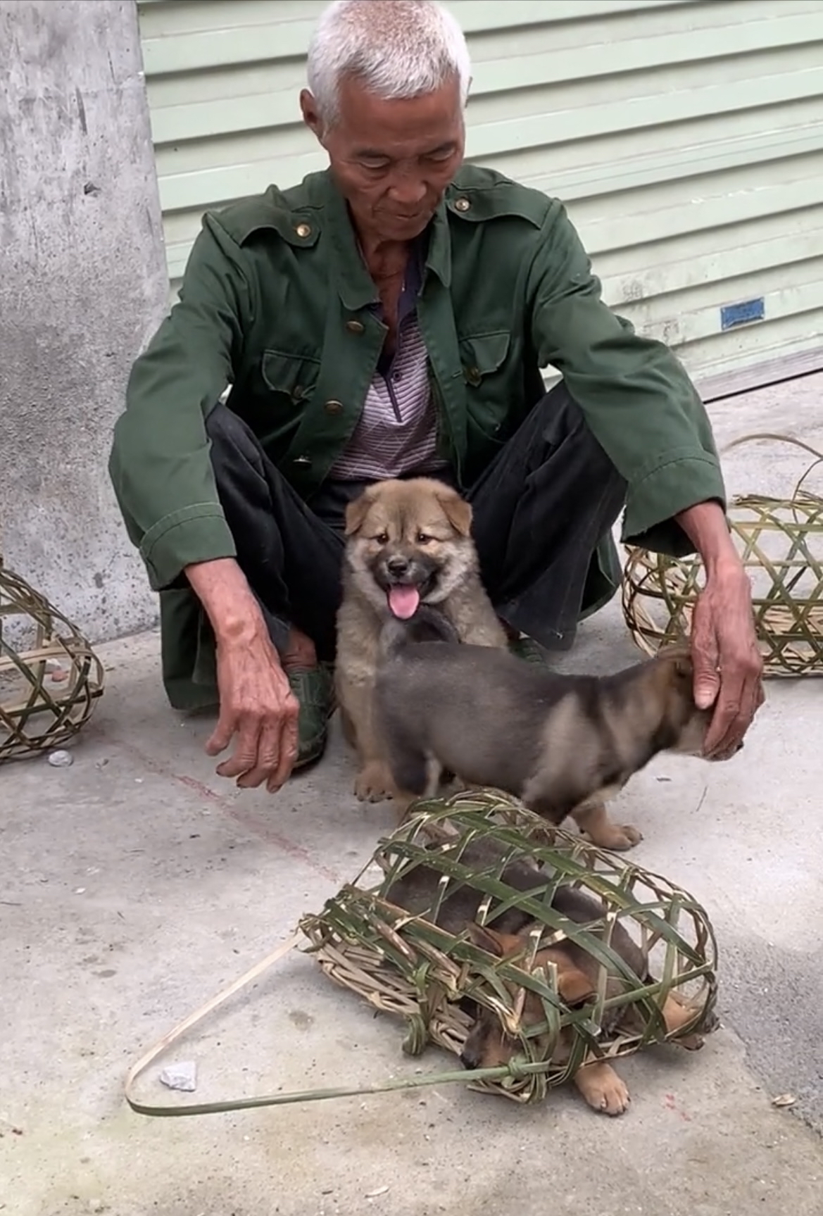 大爷步行20多公里来到集市上,只为让小狗狗遇到好的主人