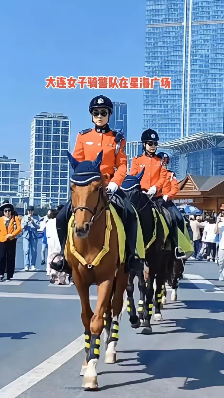 大连巡警图片