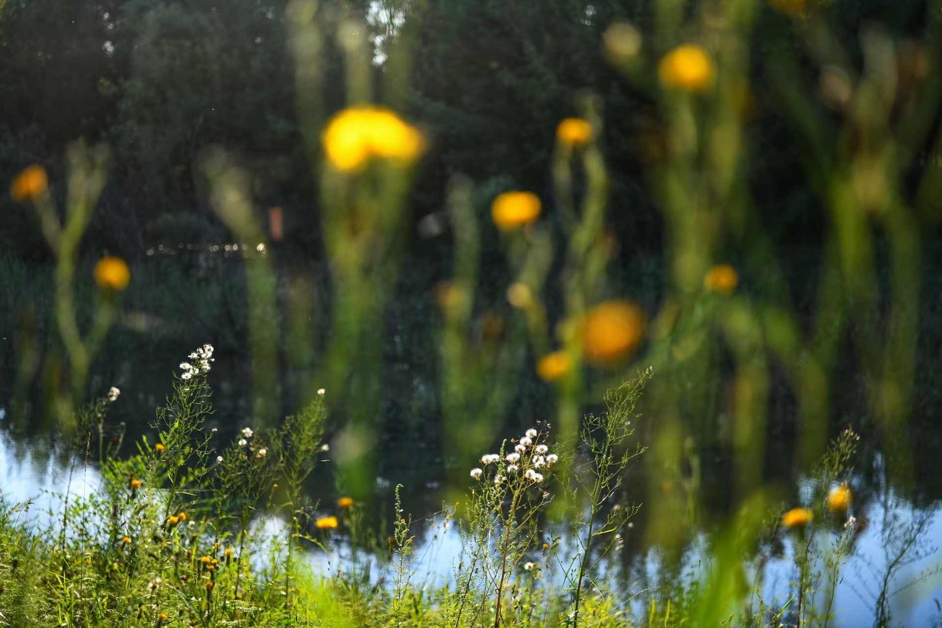 黑龙江哈尔滨·运粮河口