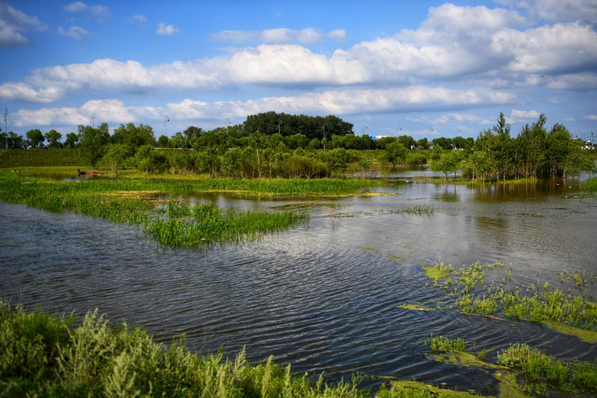黑龙江哈尔滨·运粮河口