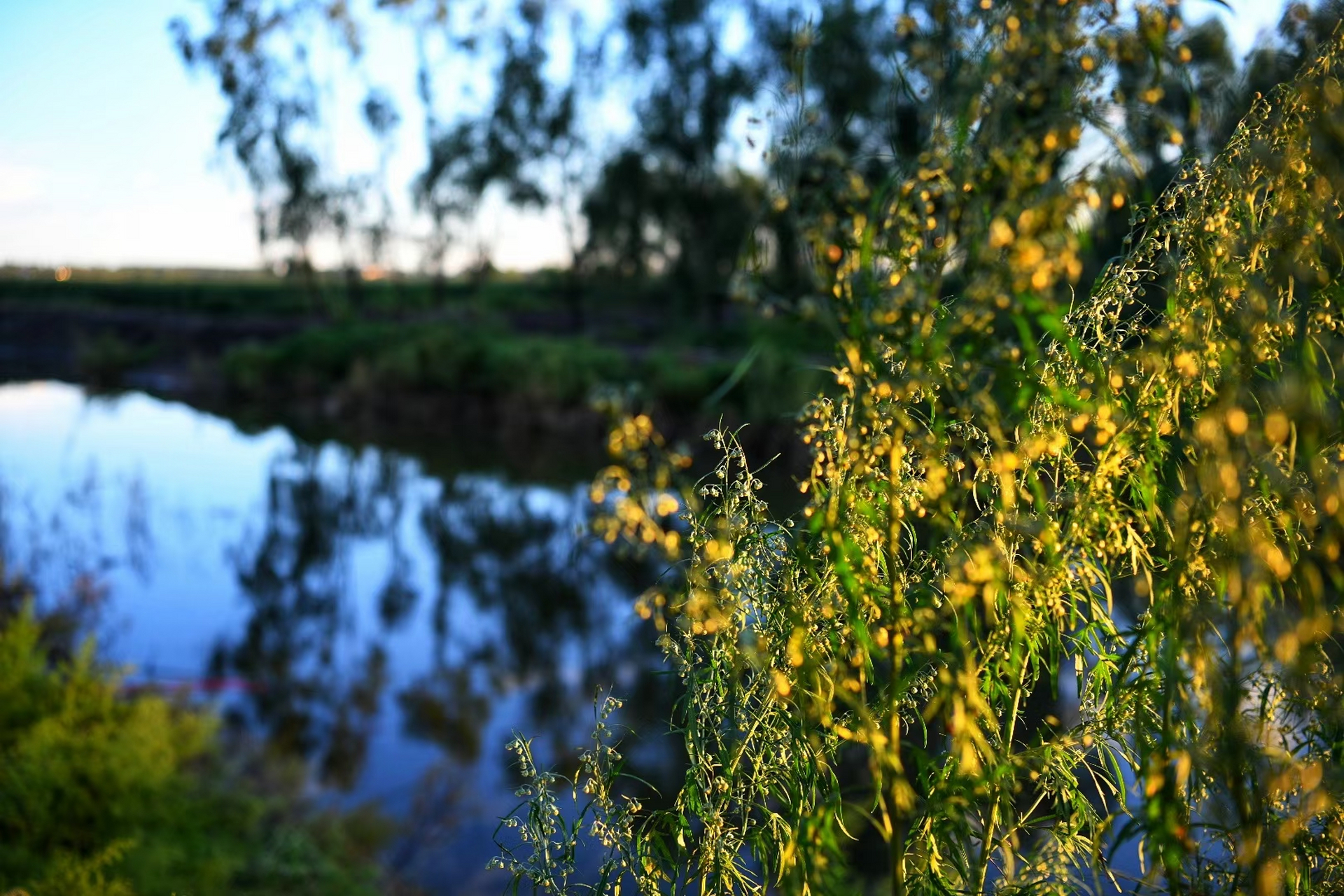 黑龙江哈尔滨·运粮河口