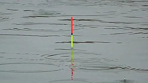 调平水钓二目"胎里带"着缺点,没灵活解决,难怪你钓效大打折扣