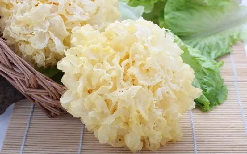 中药材银耳的功效与作用