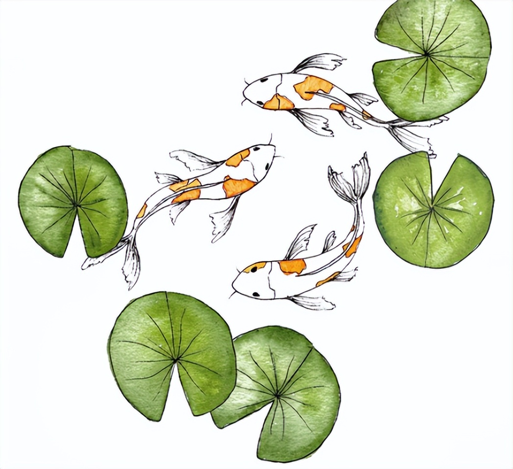 如何画锦鲤:分步指南,上手不难