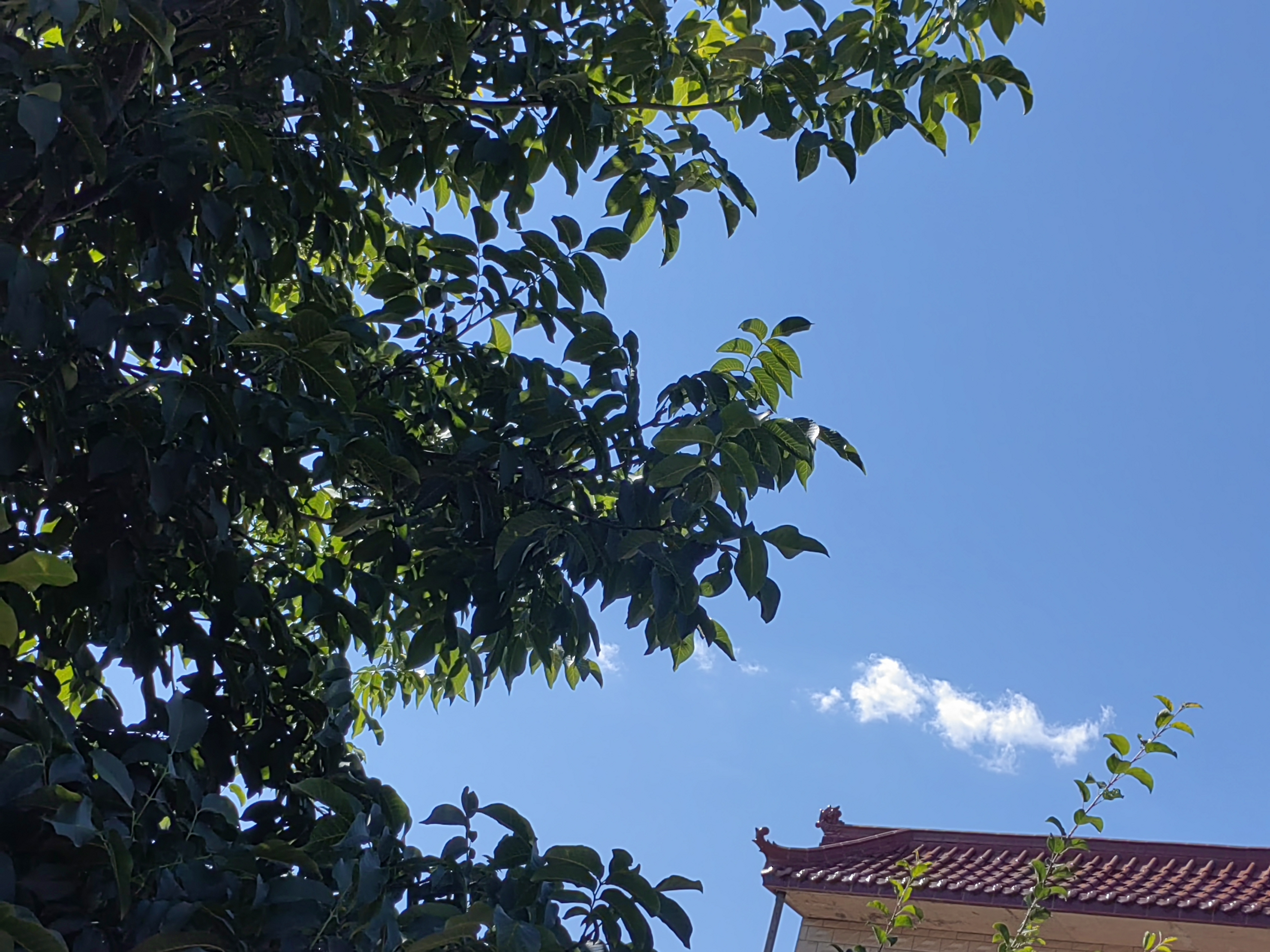 听说外面比较热窝在家里不想动,,但看着别人的旅行美照又蠢蠢欲动