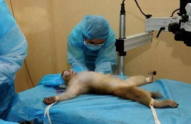 在2016年1月21日,发生了一件医学史上极具争议性的大