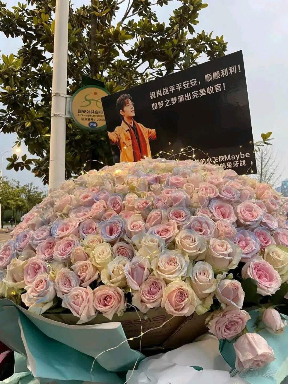 肖战花海背景图