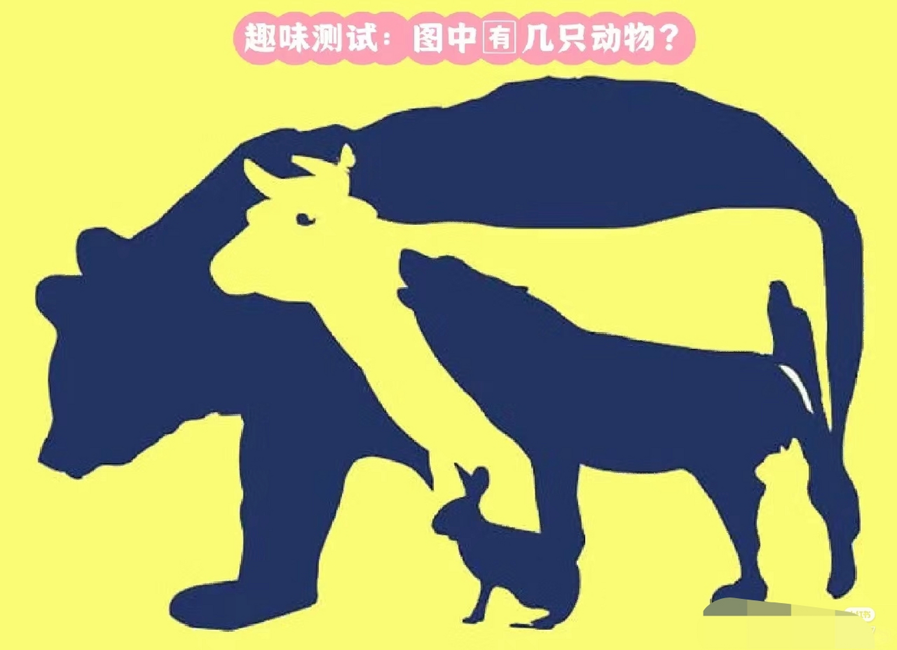 趣味测试:猜一猜图中有几只动物,都是什么动物?