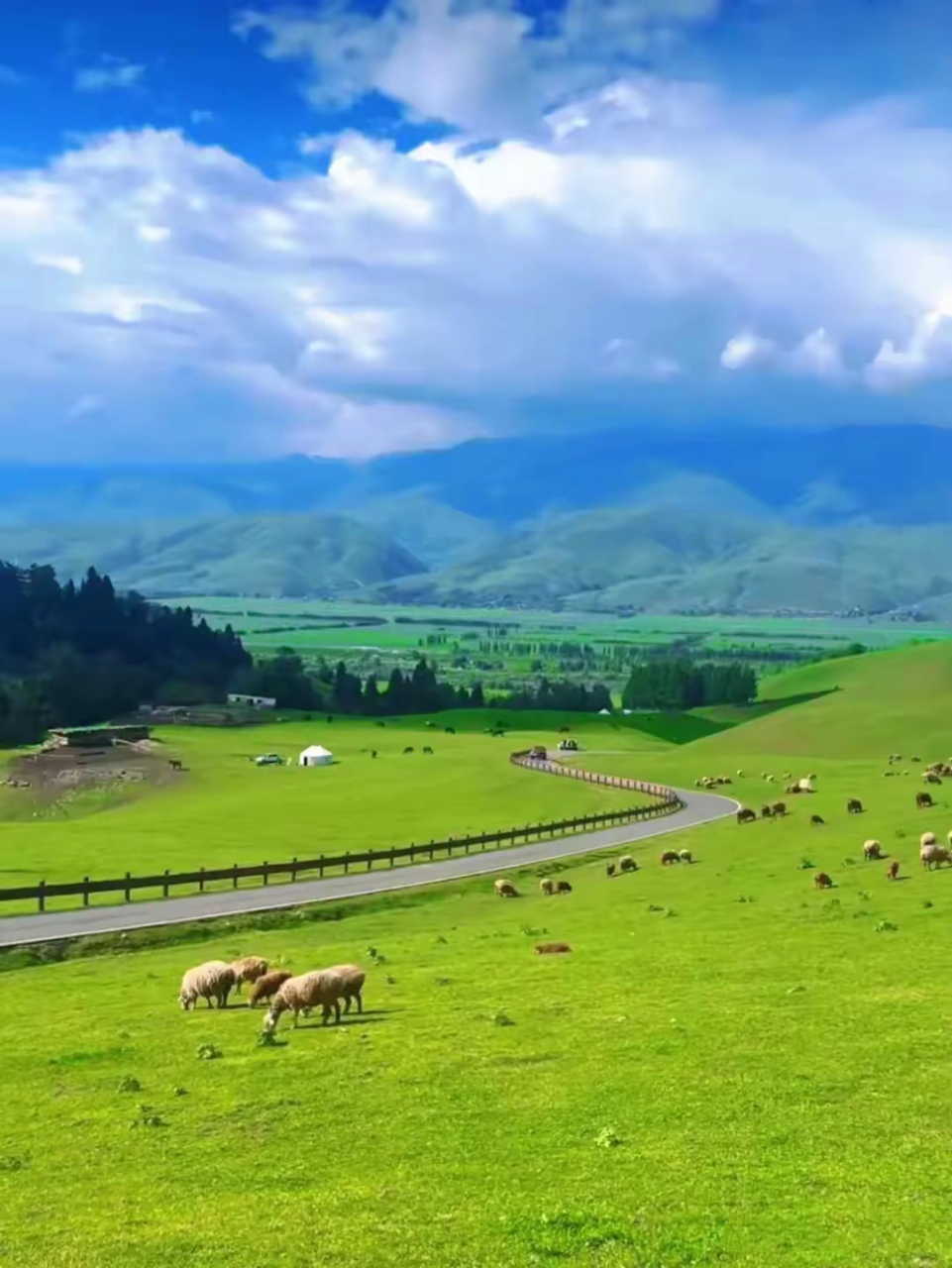 蓝天浩渺,白云悠扬,  在如茵绿草上,点缀着三两牛羊;  草原上,野花