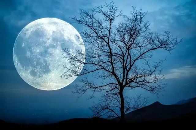 白居易早年的一首诗,全诗通俗易懂,写尽游子的思乡之情