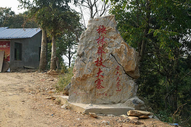 古六大茶山是哪些山?