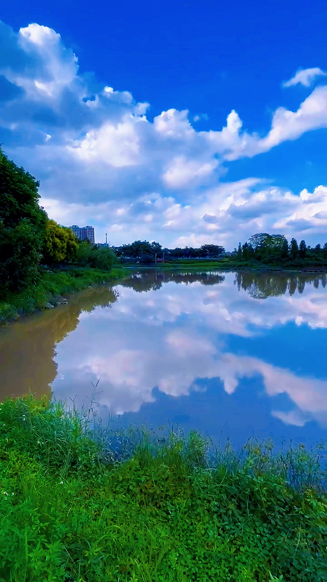 总有一种遇见,惊艳时光,总有一处风景,渲染欢喜,随遇而安.