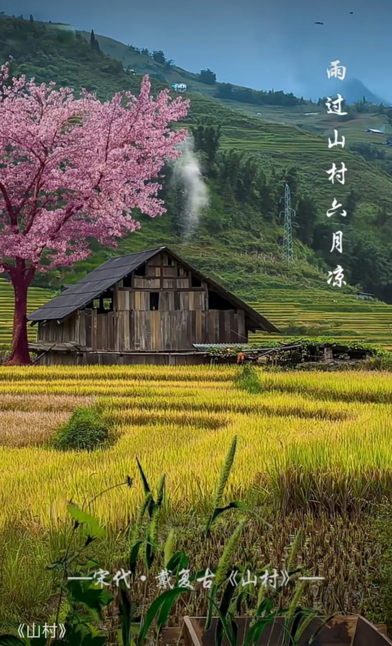 《山村》(宋代/戴复古) 雨过山村六月凉,田田流水稻花香.