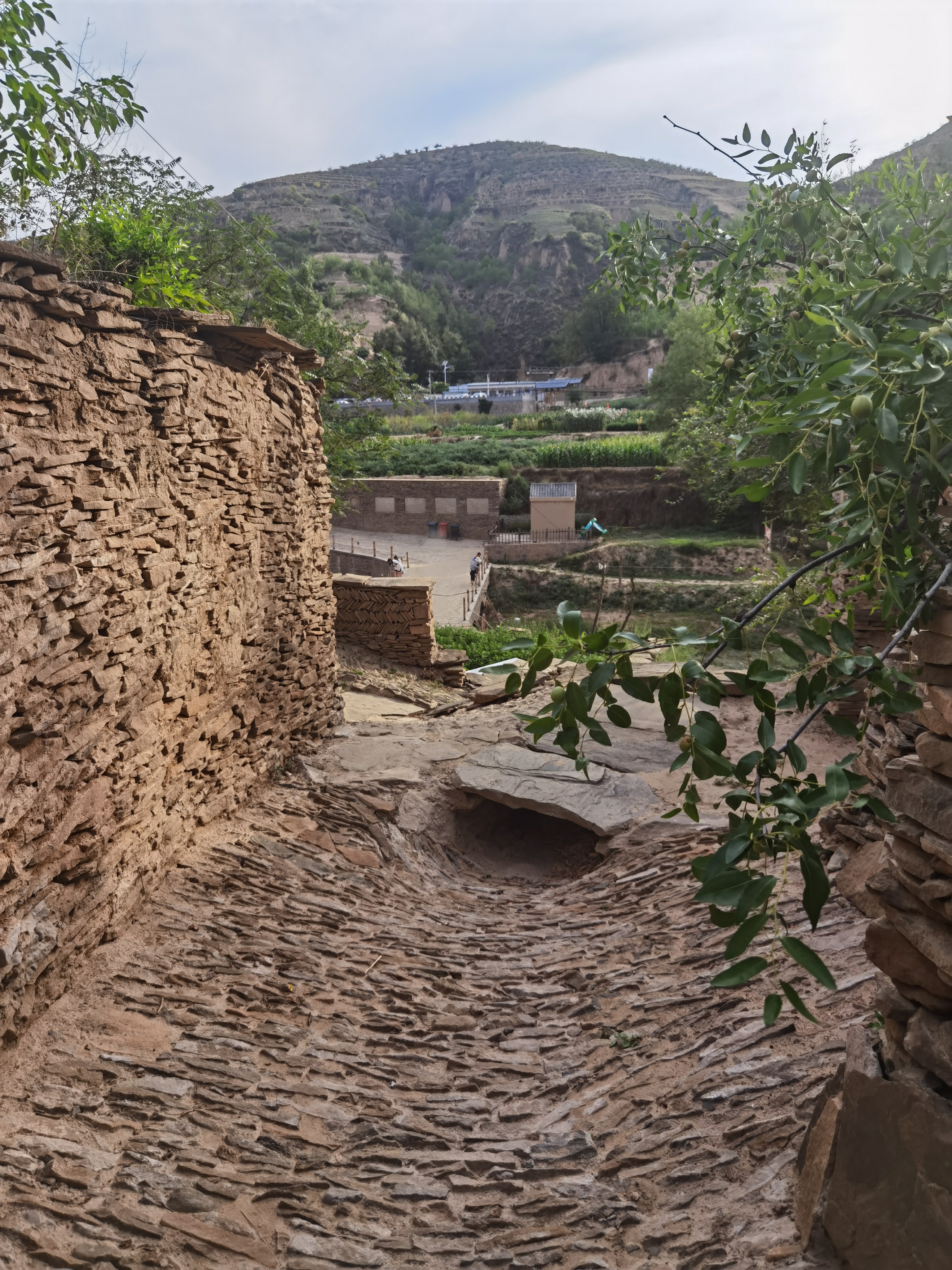 我找到了《平凡的世界》中的双水村,那就是绥德郭家沟村