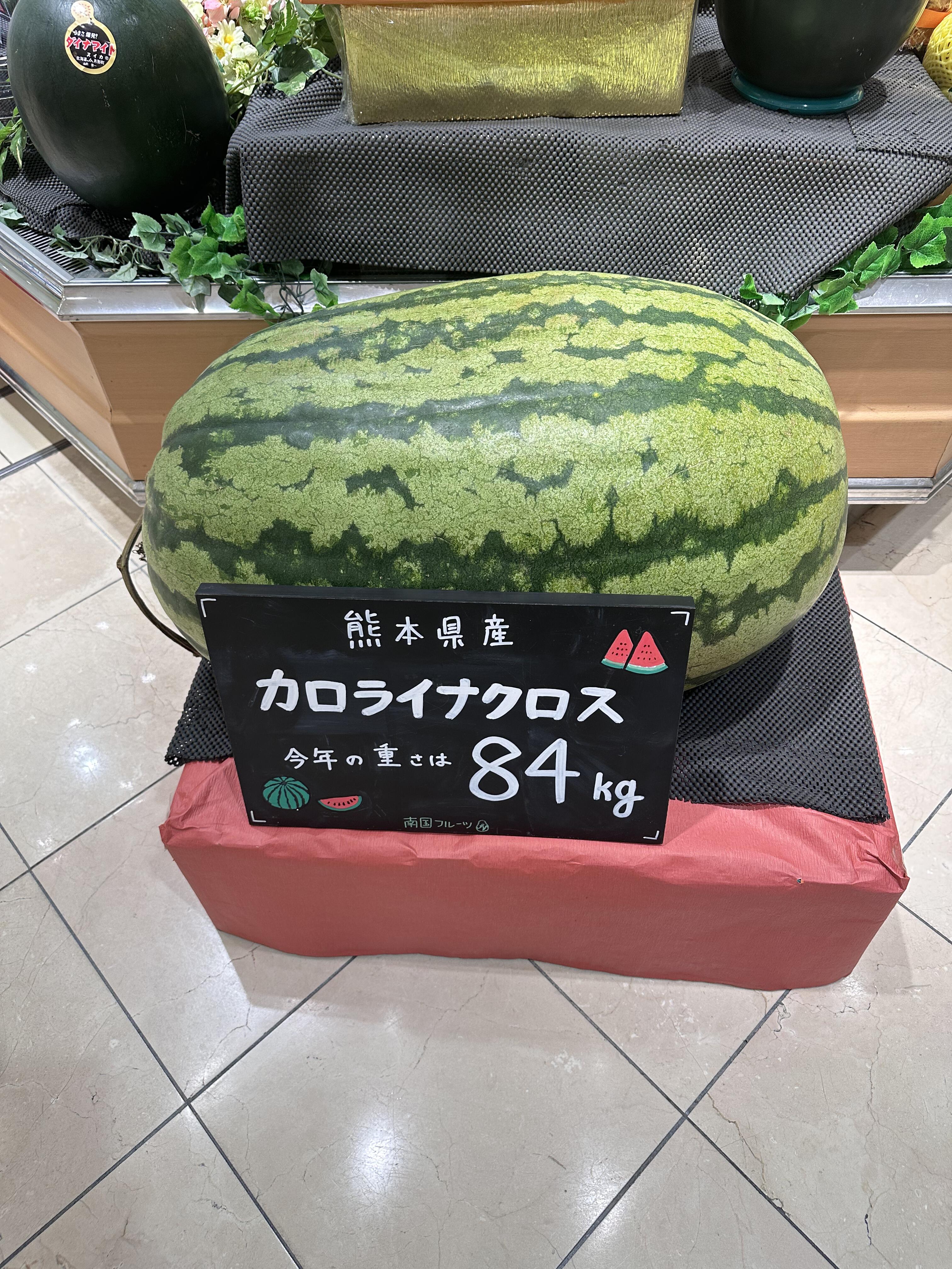 好丑好贵的西瓜