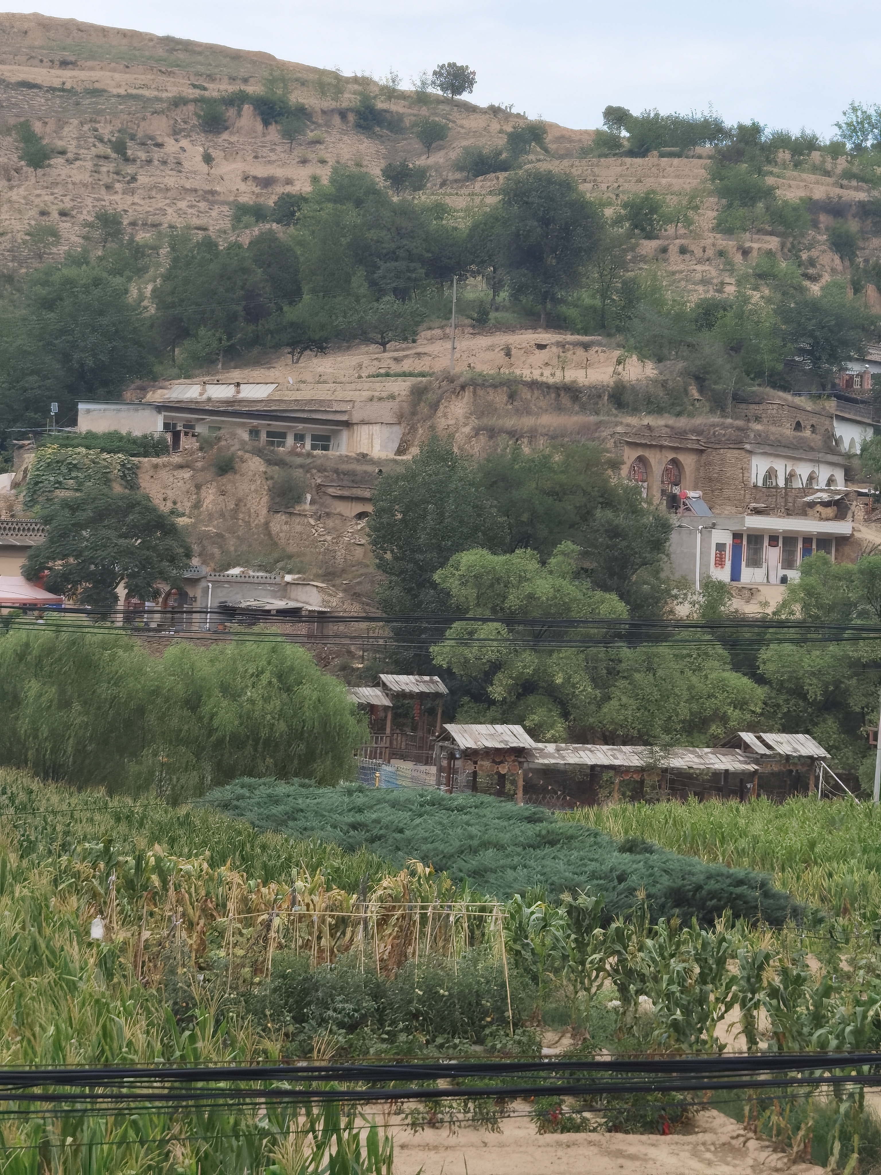 我找到了《平凡的世界》中的双水村,那就是绥德郭家沟村