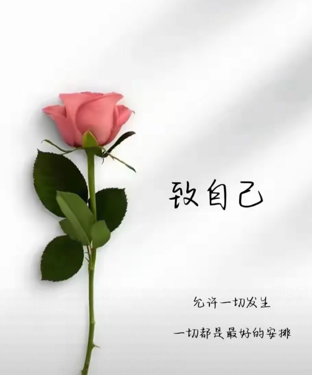 放下执念,就是放过自己!