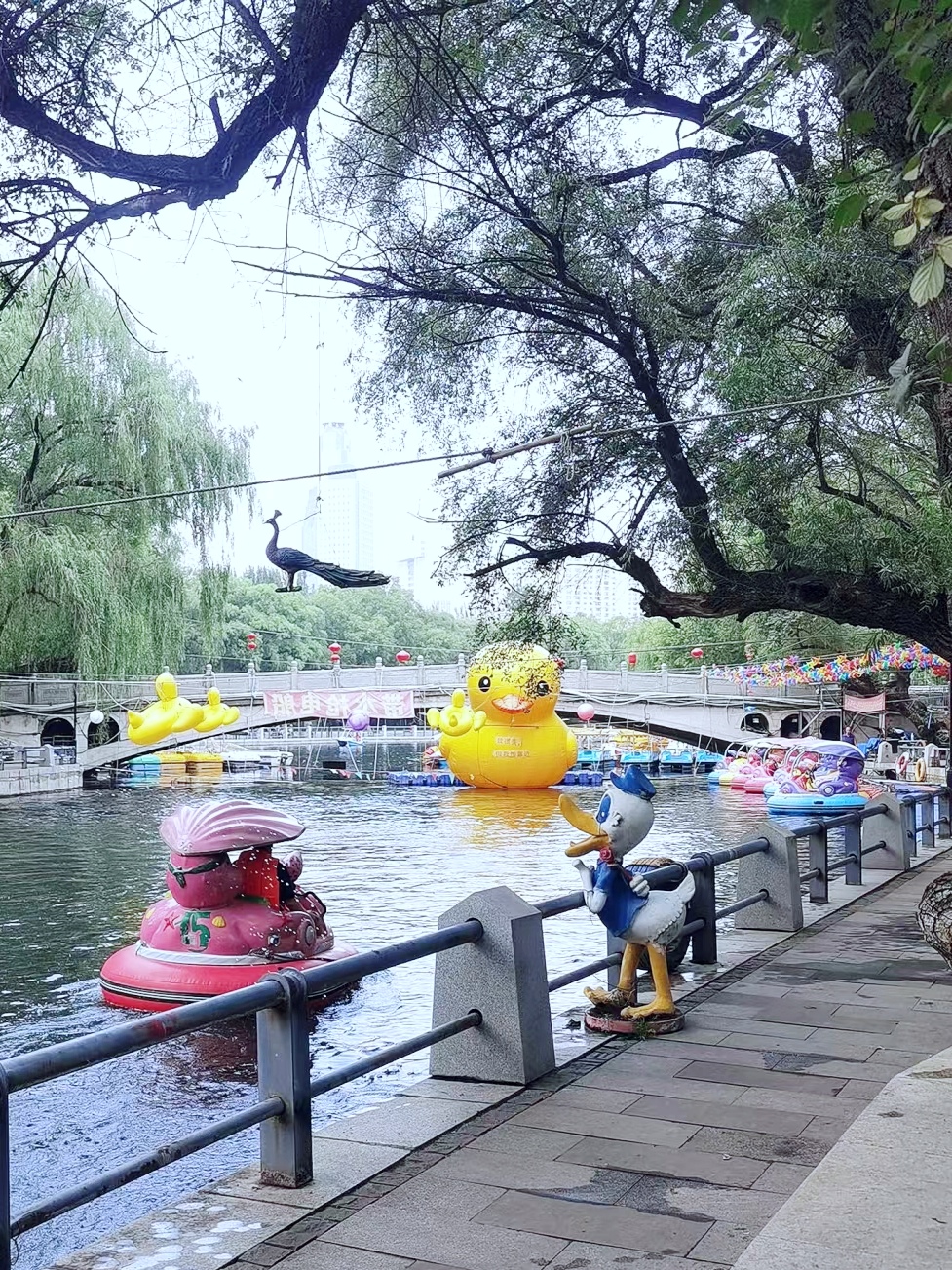 一踏进南湖公园,哎