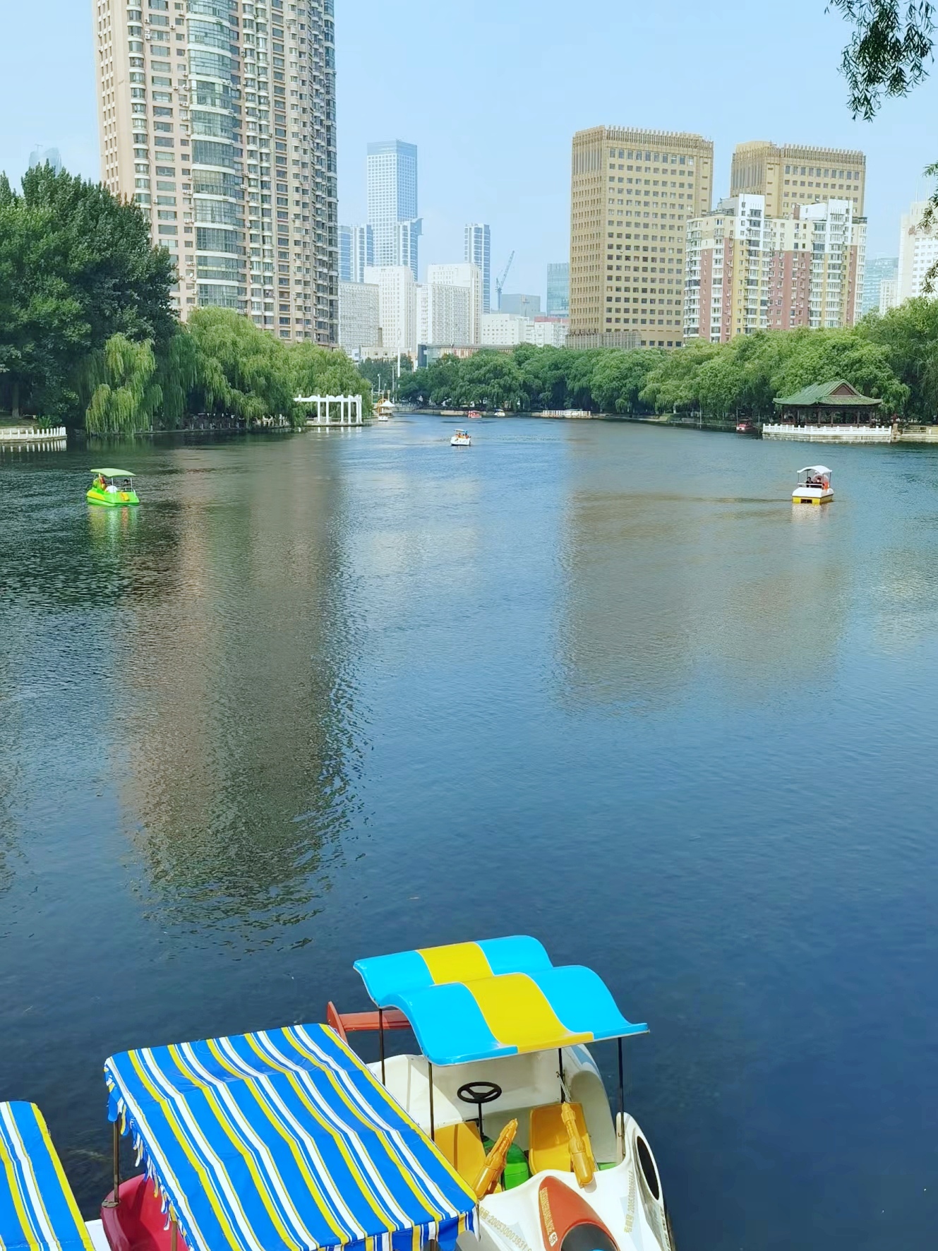 沈阳南湖公园,解锁你的清凉乐园!