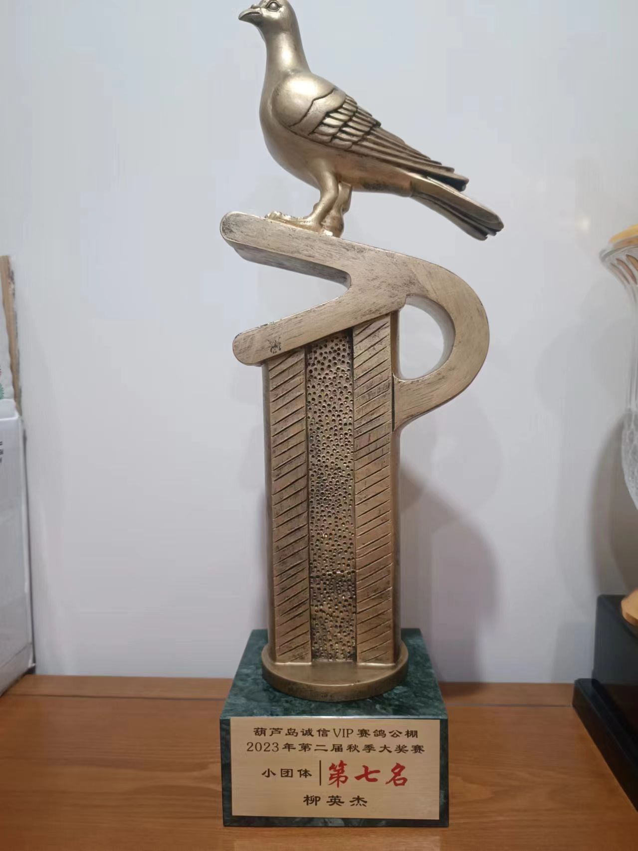 柳英杰鸽舍2023年秋季公棚成绩(一)