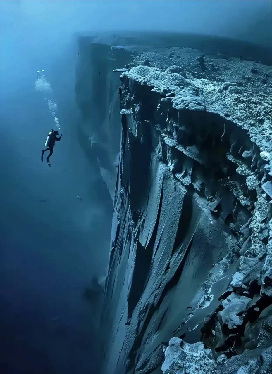 这是国外的一个潜水小哥拍摄的照片.