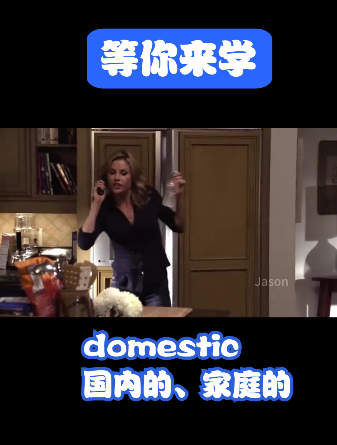 等你来学:英语情景对话,domestic国内的,家庭的