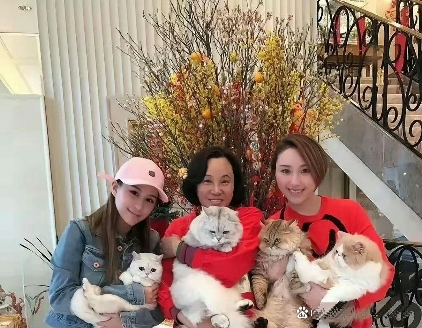 何鸿燊的三太陈婉珍当年甜美好看,现在嘛岁月的痕迹有点明显,真是让人