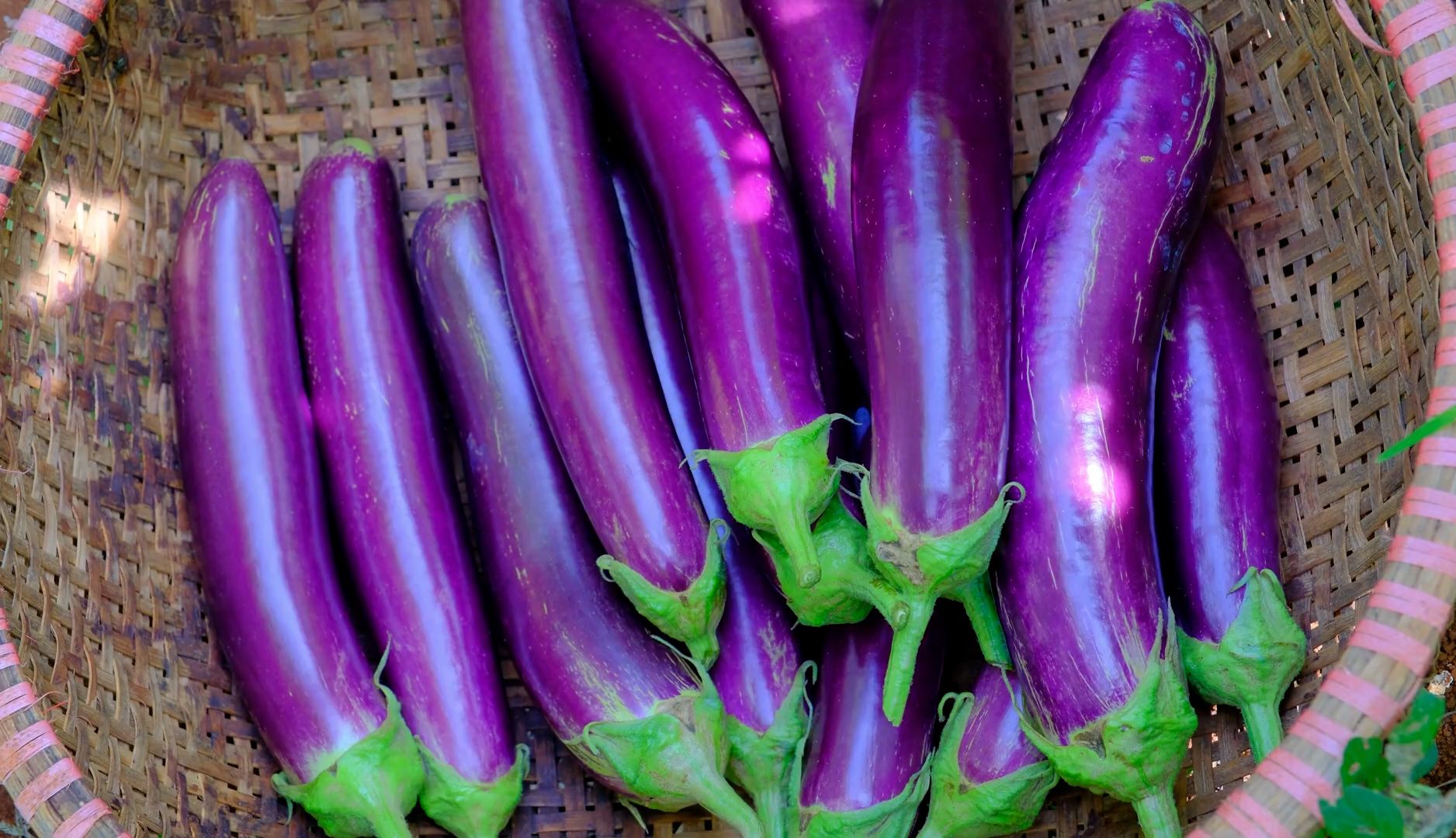 每周与茄子相伴两次,可以享受它清热解暑