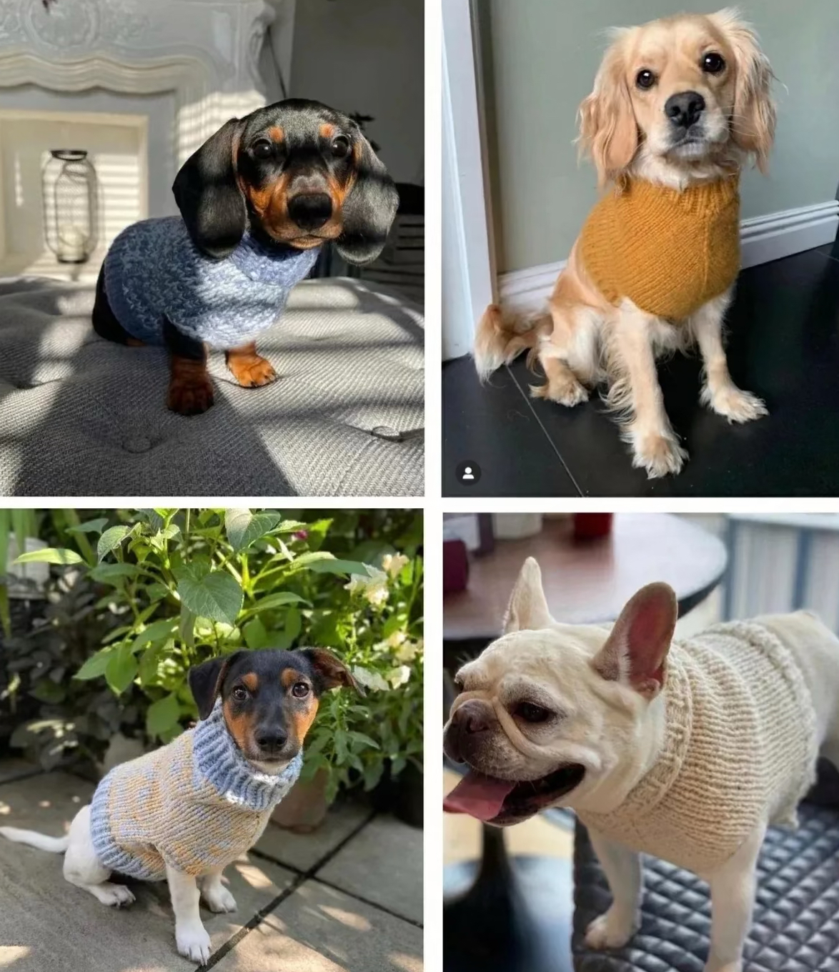 跳水名将戴利织的毛衣真挺不错的呢,色彩艳丽有创意!#动态连更挑战