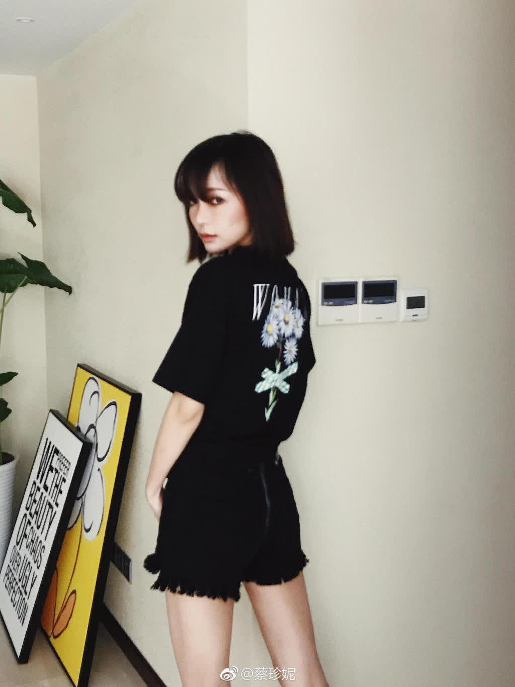 蔡珍妮今天尝试了海鸥眉合格吗