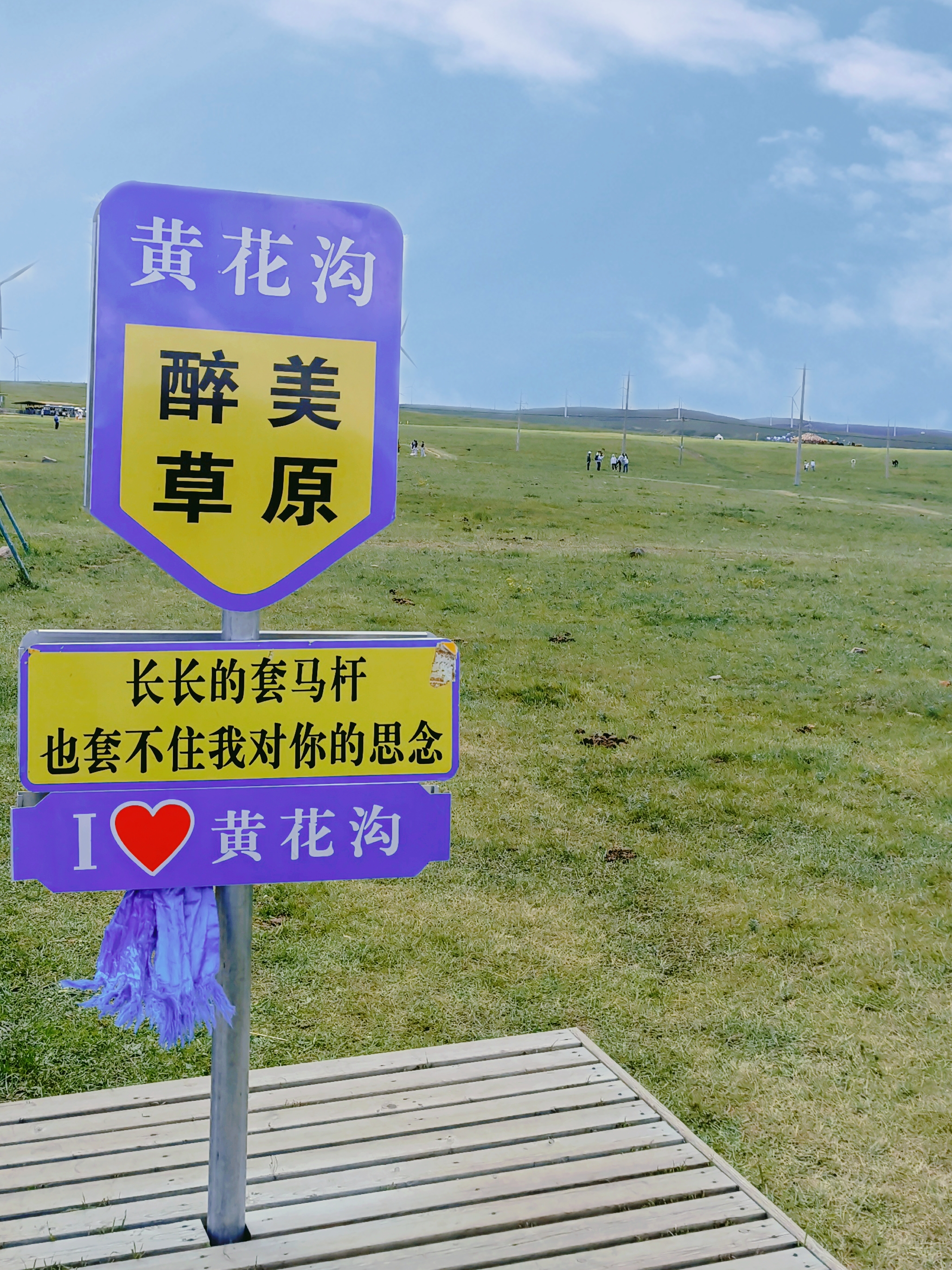 打卡内蒙古辉腾锡勒草黄花沟草原