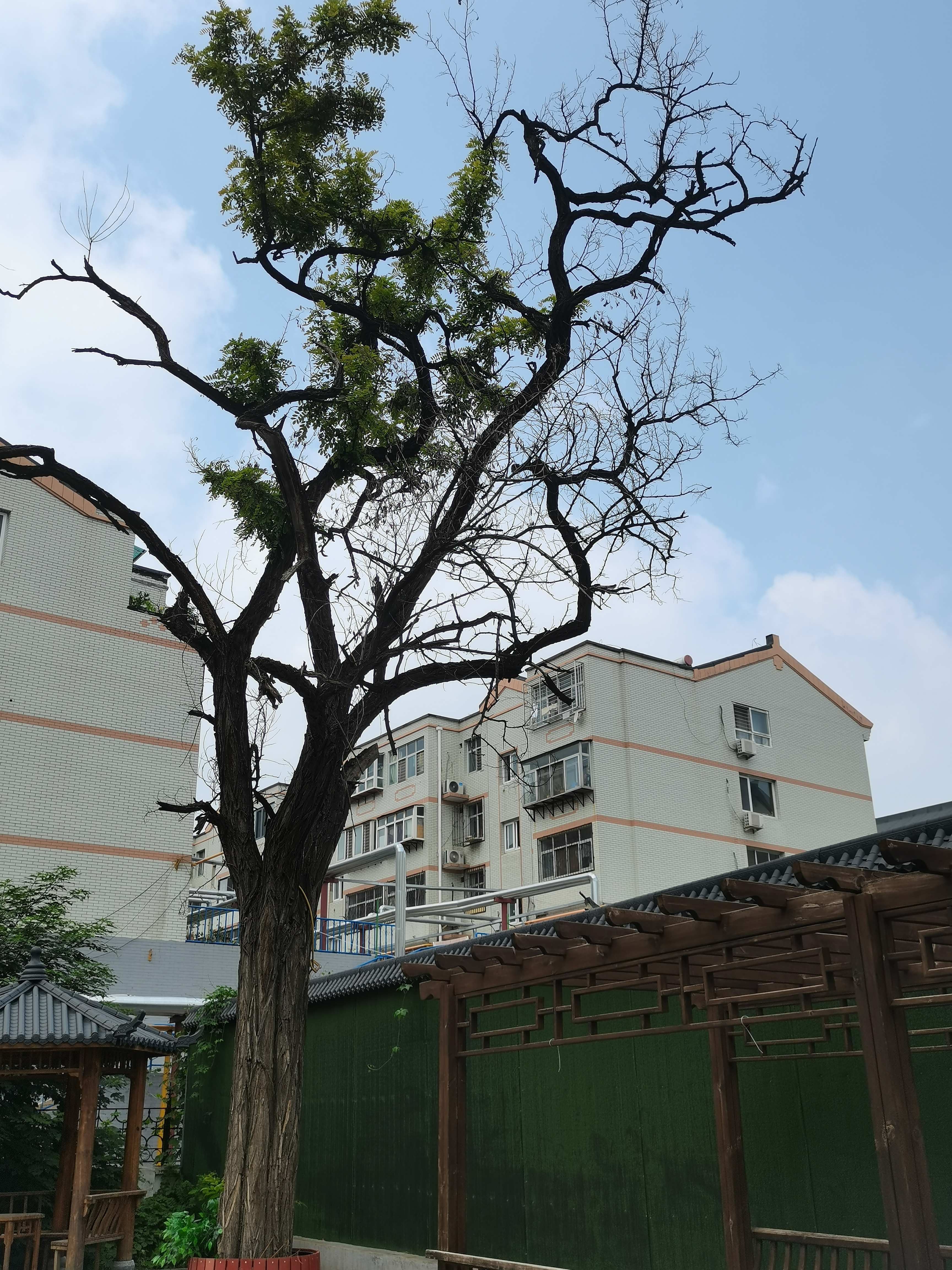 这就是保定大慈阁小区另外一处民居