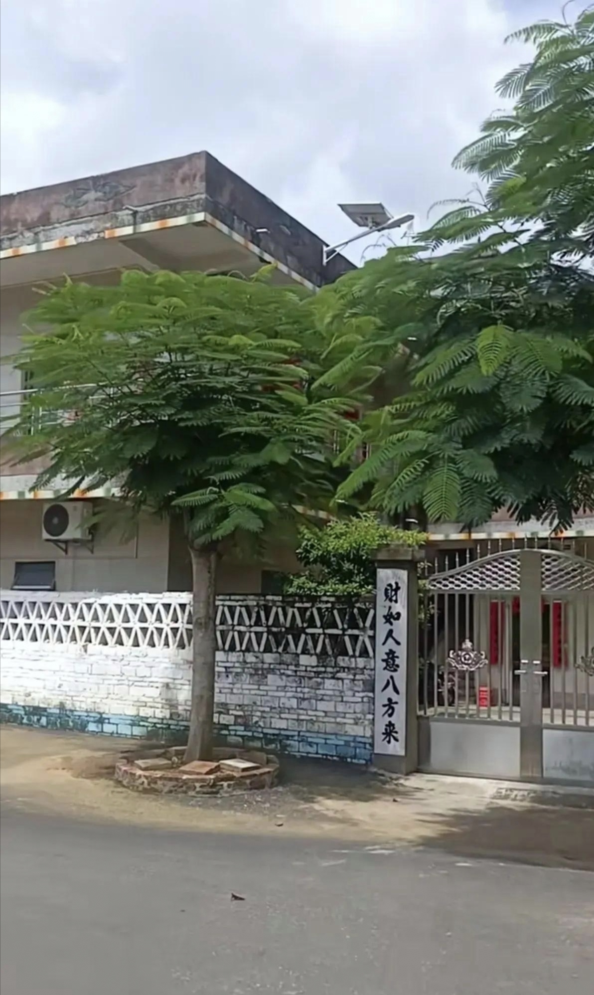 网友们纷纷猜测,这两棵凤凰树是否预示着全红婵家中将诞生两位杰出