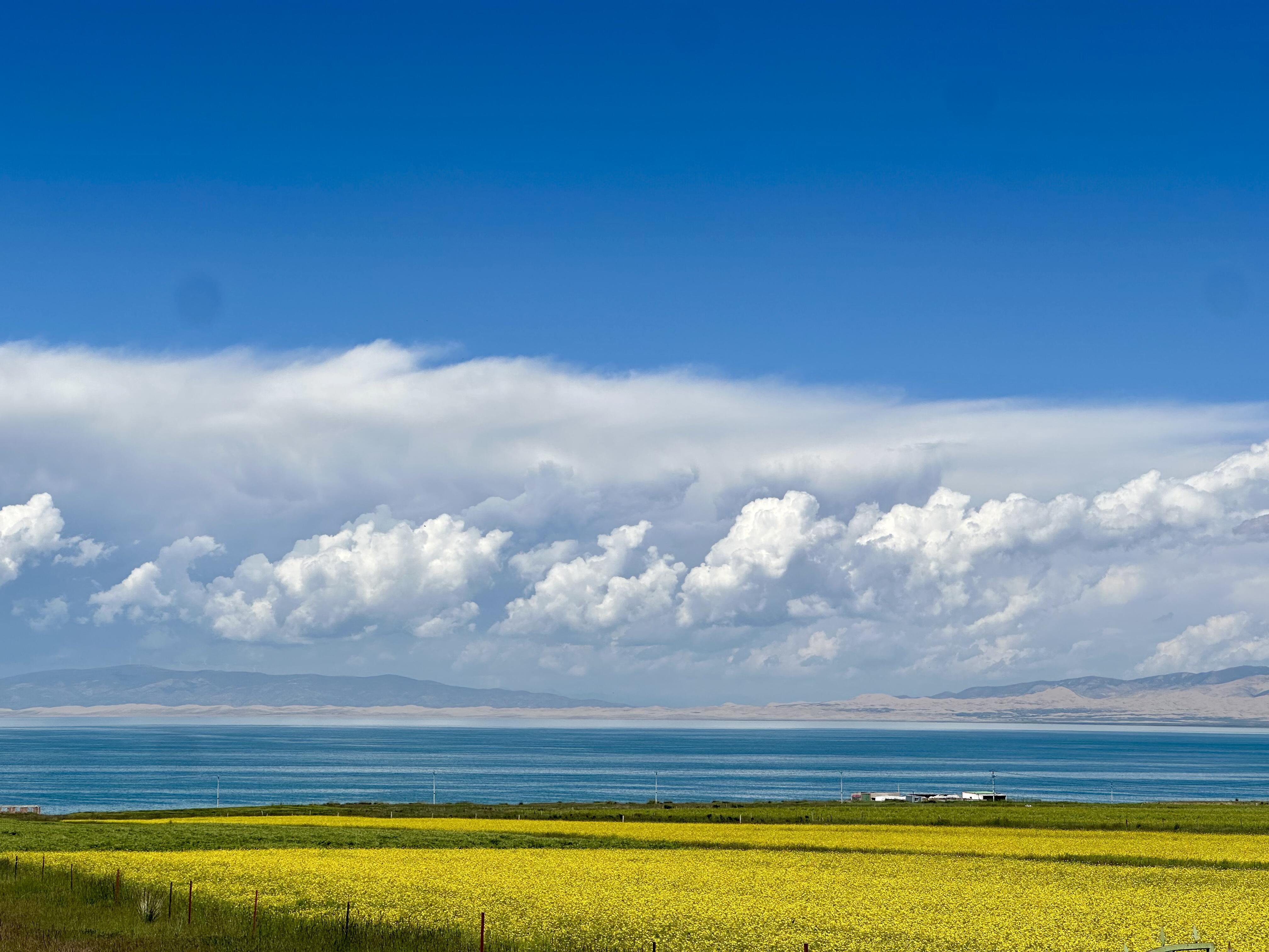 大西北的美幅员辽阔 晴天下的青海湖美到像在动画片里 沿着环湖路