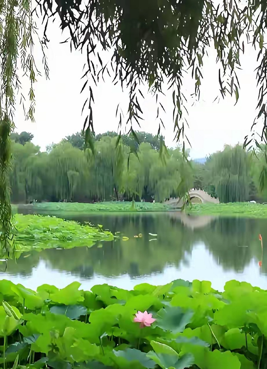 鲜为人知的冷知识 1,扬名立万,"万"是身的意思.