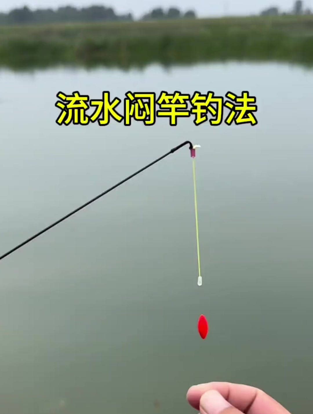 夏日钓鱼,钓鱼大师也在用的闷竿钓法,一钓一个准,真厉害